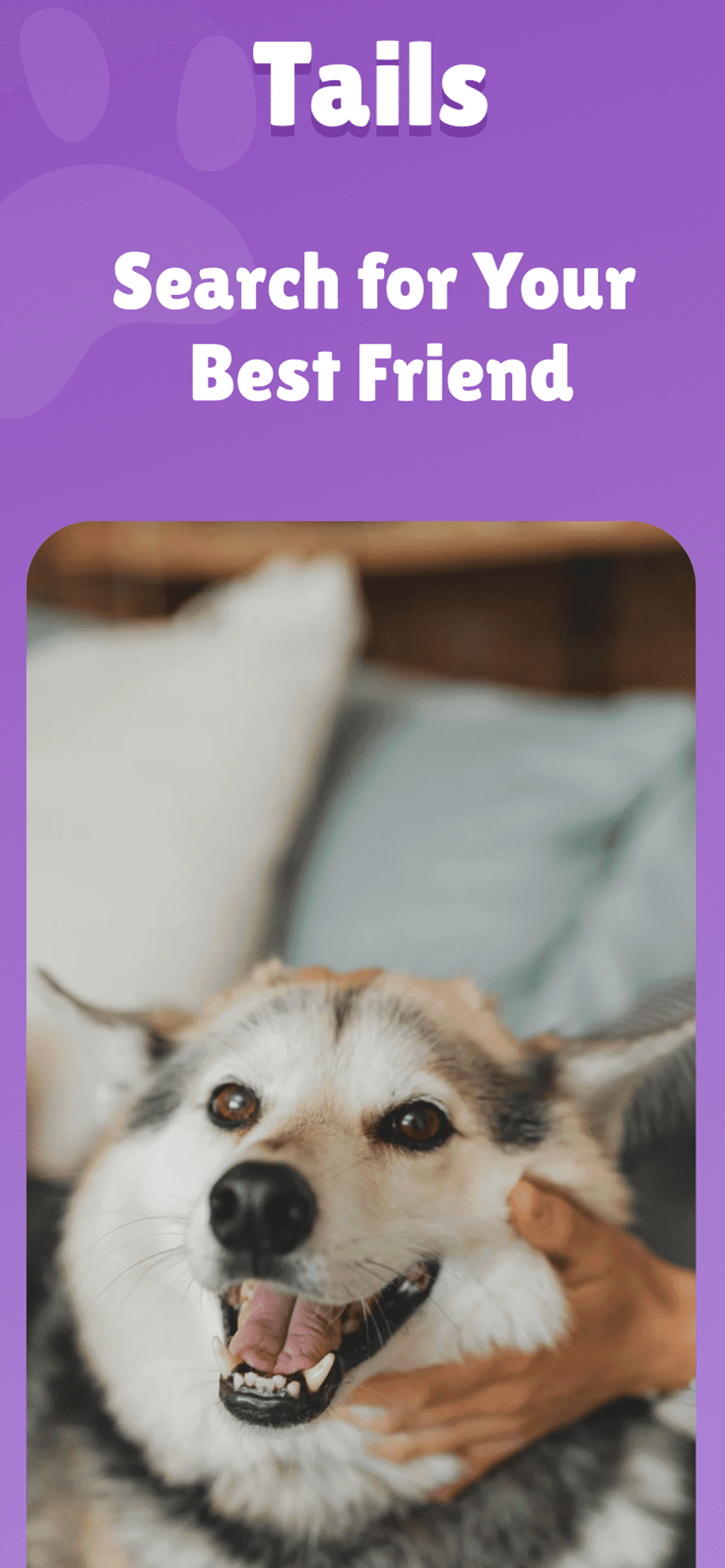 Find Your Best Friend